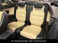 Volkswagen Golf VI Cabriolet Exclusive*Kamera*DYNAUDIO*XENO Weiß - thumbnail 14