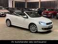 Volkswagen Golf VI Cabriolet Exclusive*Kamera*DYNAUDIO*XENO Weiß - thumbnail 1