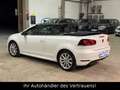 Volkswagen Golf VI Cabriolet Exclusive*Kamera*DYNAUDIO*XENO Weiß - thumbnail 6