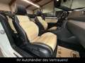 Volkswagen Golf VI Cabriolet Exclusive*Kamera*DYNAUDIO*XENO Weiß - thumbnail 12