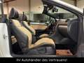 Volkswagen Golf VI Cabriolet Exclusive*Kamera*DYNAUDIO*XENO Weiß - thumbnail 13