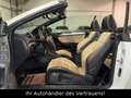 Volkswagen Golf VI Cabriolet Exclusive*Kamera*DYNAUDIO*XENO Weiß - thumbnail 11