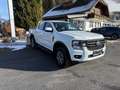 Ford Ranger Ranger Doppelkabine XLT e-4WD 2.3 EcoBoost 11.8... Weiß - thumbnail 3