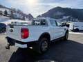 Ford Ranger Ranger Doppelkabine XLT e-4WD 2.3 EcoBoost 11.8... Weiß - thumbnail 5