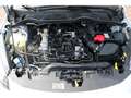 Ford Fiesta ST-Line 1.0 LED ACC Winterpaket APP Connect Keyles Blanc - thumbnail 10