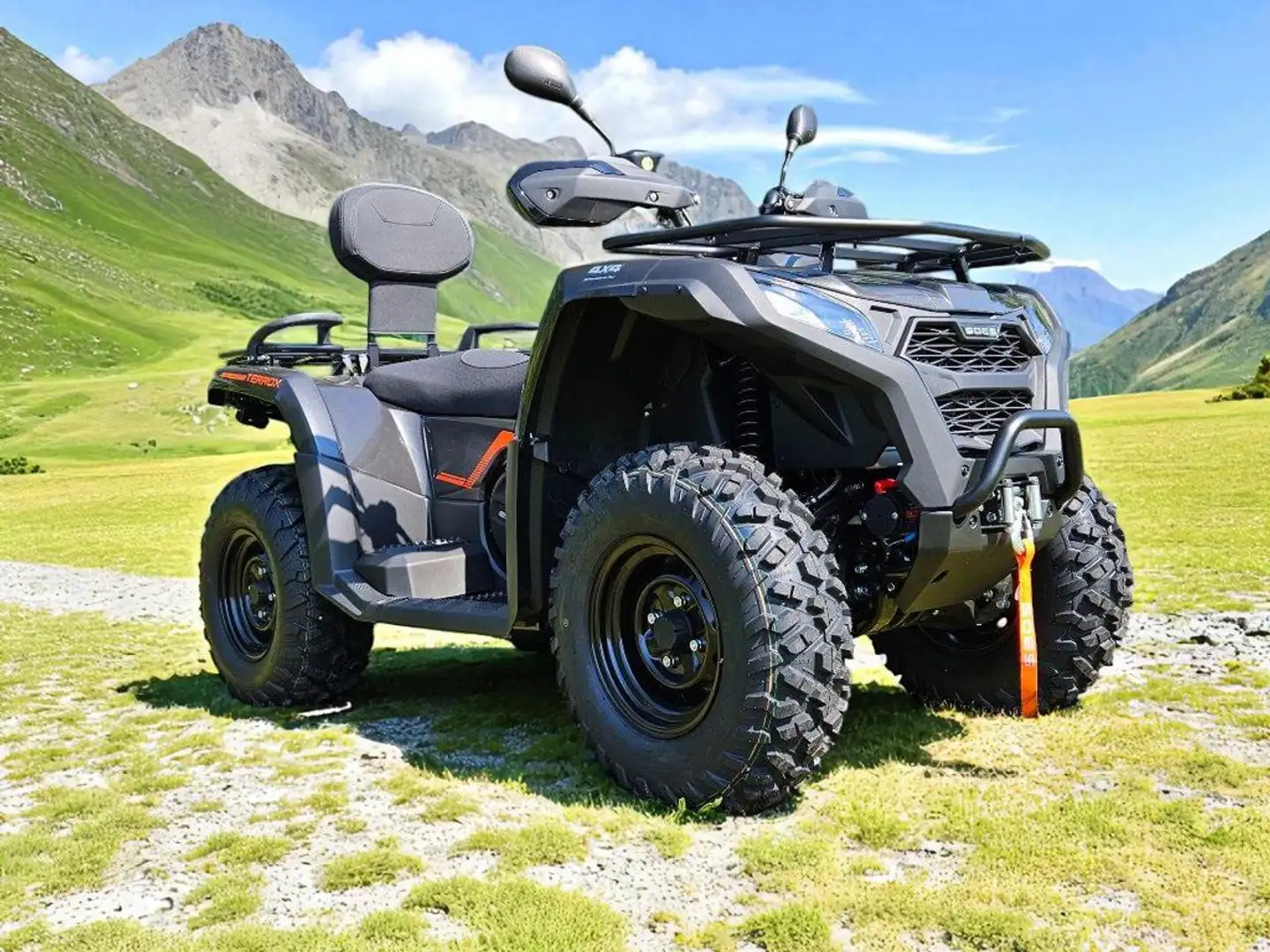 Goes TERROX 500L CON SERVOSTERZO T3 TARGA GIALLA Grigio - 1