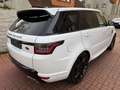 Land Rover Range Rover Sport Range Rover SDV6 Sport HSE Dynamic FACELIFT+PANO Weiß - thumbnail 4
