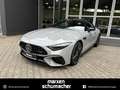 Mercedes-Benz SL 63 AMG AMG SL 63 4M+ Perf.Sitze+Lift+Night2+PremiumPlus Gris - thumbnail 1