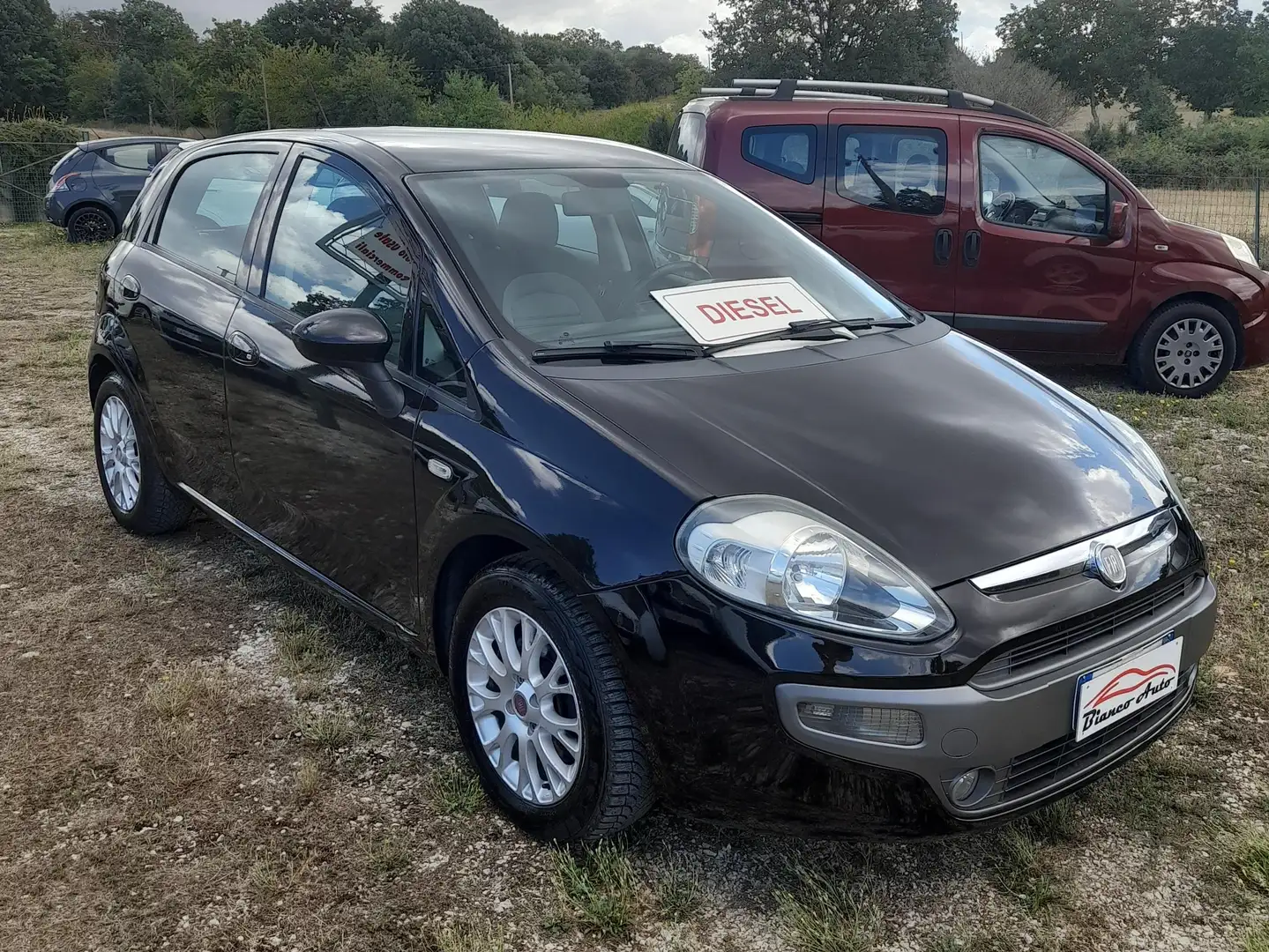 Fiat Punto Evo 1.3 MJT 5P DYNAMIC Nero - 2