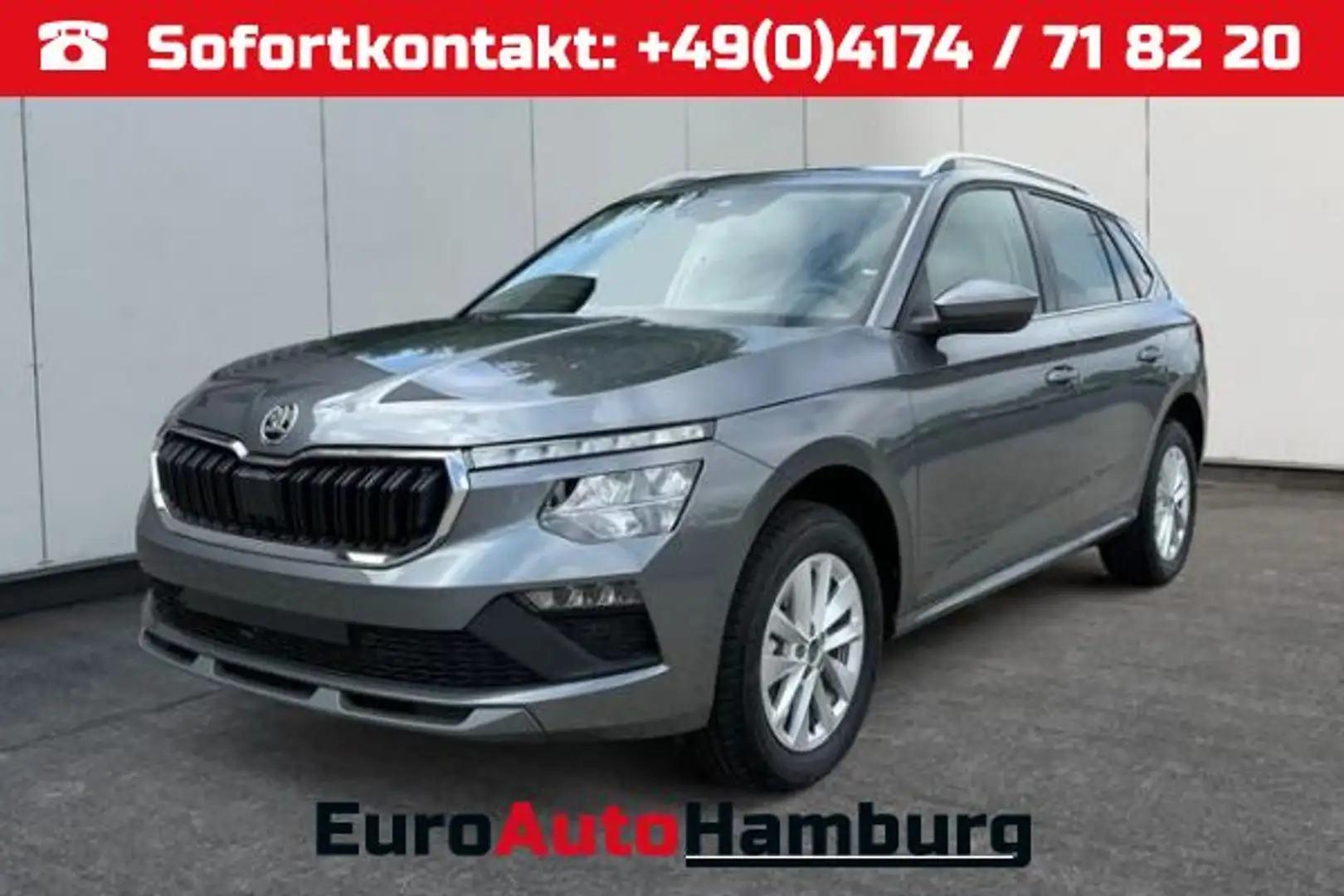 Skoda Kamiq Selection DSG+ACC+SHZ+RFK+PDC+KESSY+SUN... Grau - 1