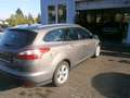 Ford Focus Champions Edition Brun - thumbnail 4