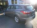 Ford Focus Champions Edition Brun - thumbnail 6