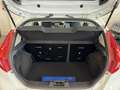Ford Fiesta 1.4 UNICO PROPRIETARIO / GPL FINO AL 2029 Bianco - thumbnail 12