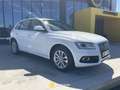 Audi Q5 2.0 TDI 150 CV clean diesel Business Blanc - thumbnail 1