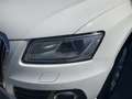 Audi Q5 2.0 TDI 150 CV clean diesel Business Blanc - thumbnail 4