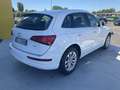 Audi Q5 2.0 TDI 150 CV clean diesel Business Blanc - thumbnail 32
