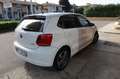 Volkswagen Polo 1.2 TDI DPF 5Porte Solo Export o Commercianti Blanc - thumbnail 49