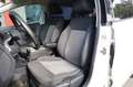 Volkswagen Polo 1.2 TDI DPF 5Porte Solo Export o Commercianti Blanc - thumbnail 7