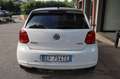 Volkswagen Polo 1.2 TDI DPF 5Porte Solo Export o Commercianti Blanc - thumbnail 43