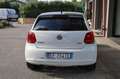 Volkswagen Polo 1.2 TDI DPF 5Porte Solo Export o Commercianti Blanc - thumbnail 42