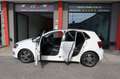 Volkswagen Polo 1.2 TDI DPF 5Porte Solo Export o Commercianti Blanc - thumbnail 37