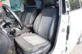 Volkswagen Polo 1.2 TDI DPF 5Porte Solo Export o Commercianti Blanc - thumbnail 34