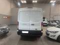 Ford Transit 350 96kW L3H2 Van Ambiente FWD Blanco - thumbnail 6