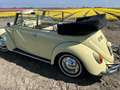 Volkswagen Kever 151 Totaal gerestaureerd zie omschrijving voor mee Amarillo - thumbnail 17