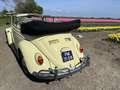 Volkswagen Kever 151 Totaal gerestaureerd zie omschrijving voor mee Amarillo - thumbnail 18