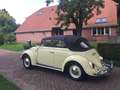Volkswagen Kever 151 Totaal gerestaureerd zie omschrijving voor mee Amarillo - thumbnail 19
