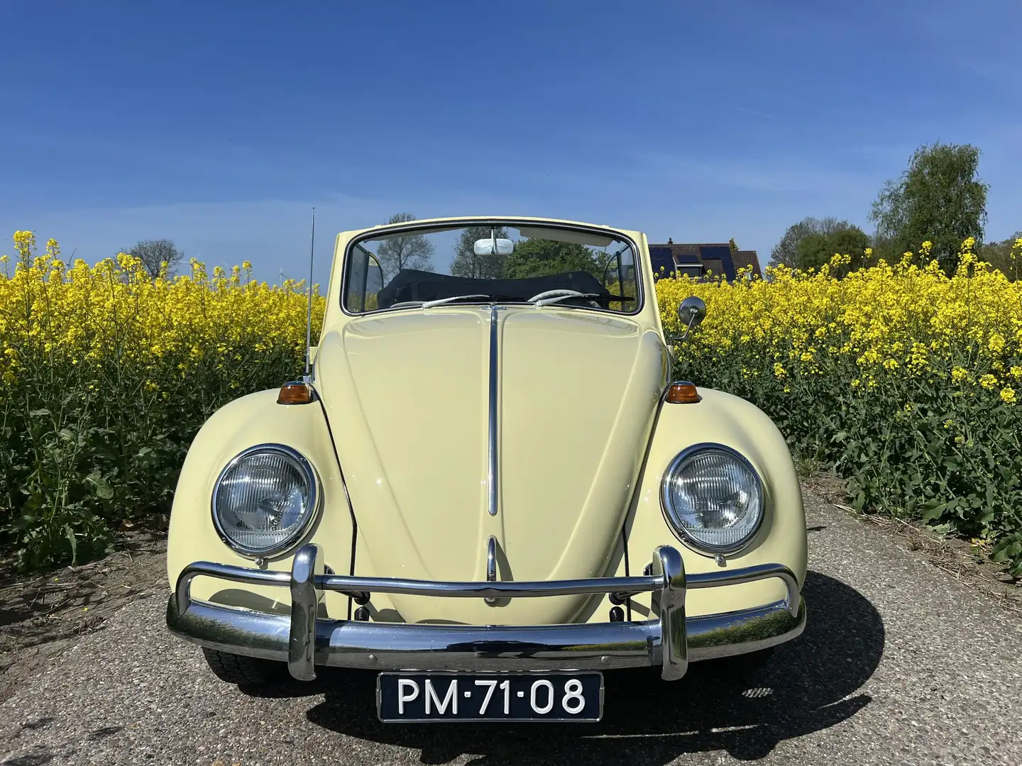 Volkswagen Kever 151 Totaal gerestaureerd zie omschrijving voor mee Amarillo - 2