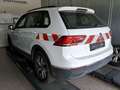 Volkswagen Tiguan Life 2.0 TDI DSG 4x4 ACC AHK LED NAVI PDC Weiß - thumbnail 5