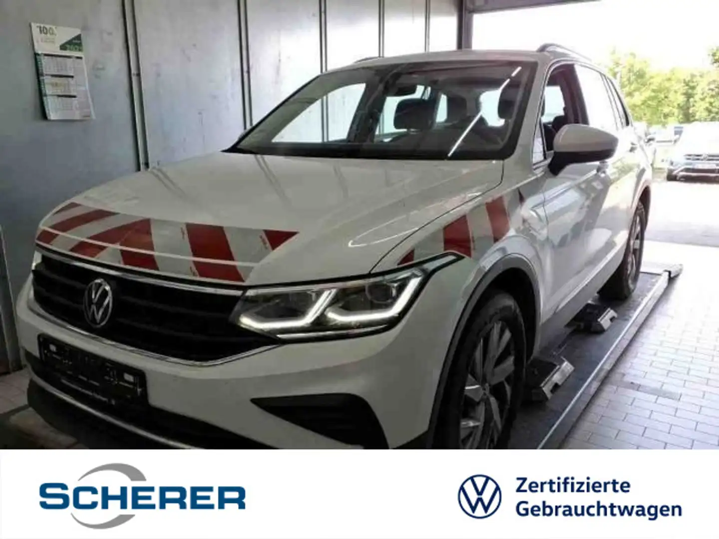Volkswagen Tiguan Life 2.0 TDI DSG 4x4 ACC AHK LED NAVI PDC Weiß - 1