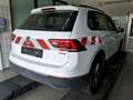 Volkswagen Tiguan Life 2.0 TDI DSG 4x4 ACC AHK LED NAVI PDC Weiß - thumbnail 3