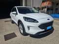 Ford Kuga Kuga III 2020 1.5 ecoblue Titanium X 2wd 120cv Wit - thumbnail 3