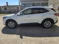 Ford Kuga Kuga III 2020 1.5 ecoblue Titanium X 2wd 120cv Wit - thumbnail 8