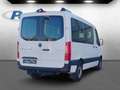 Mercedes-Benz Sprinter 317 CDI Tourer Dachkli+Sthzg+AHK+Kam Weiß - thumbnail 5