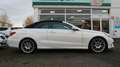 Mercedes-Benz E 350 Cabrio BlueTec/Sport-Paket /AMG-Line Weiß - thumbnail 5