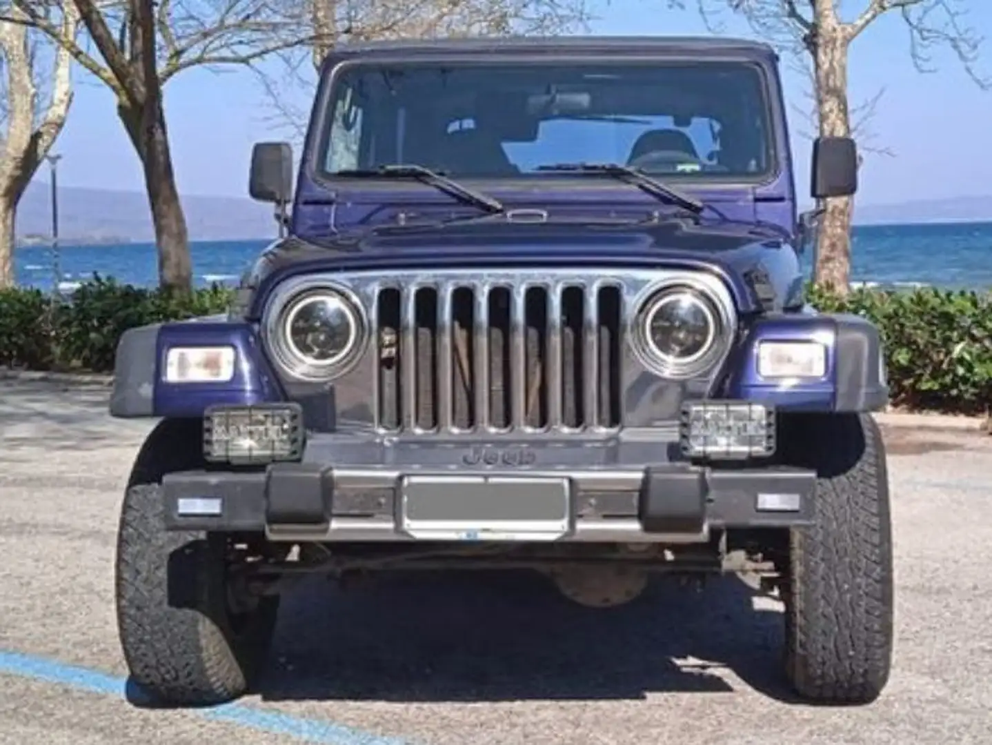 Jeep Wrangler Wrangler I 1989 Hard Top 4.0 Sport Blu/Azzurro - 2