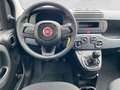 Fiat Panda Pandina 1.0 firefly hybrid Pop s&s 70cv - PROMO Schwarz - thumbnail 21