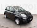Fiat Panda Pandina 1.0 firefly hybrid Pop s&s 70cv - PROMO Schwarz - thumbnail 3