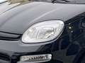 Fiat Panda Pandina 1.0 firefly hybrid Pop s&s 70cv - PROMO Schwarz - thumbnail 17