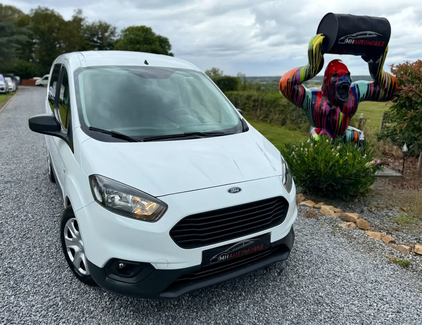 Ford Transit Courier Bianco - 2