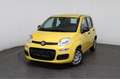 Fiat Panda Pandina Pop (Pandina Pop) 1.0 Mild-Hybrid (65PS... Gelb - thumbnail 1