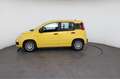 Fiat Panda Pandina Pop (Pandina Pop) 1.0 Mild-Hybrid (65PS... Gelb - thumbnail 4