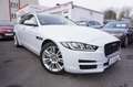 Jaguar XE 25T Portfolio *nur 8.300KM*1.Hand*TOP Ausst. Weiß - thumbnail 1