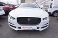 Jaguar XE 25T Portfolio *nur 8.300KM*1.Hand*TOP Ausst. Weiß - thumbnail 2