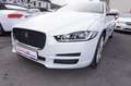 Jaguar XE 25T Portfolio *nur 8.300KM*1.Hand*TOP Ausst. Weiß - thumbnail 12