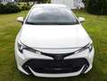 Toyota Corolla Hybrid Business Edition Weiß - thumbnail 8