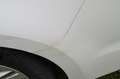 Toyota Corolla Hybrid Business Edition Weiß - thumbnail 9